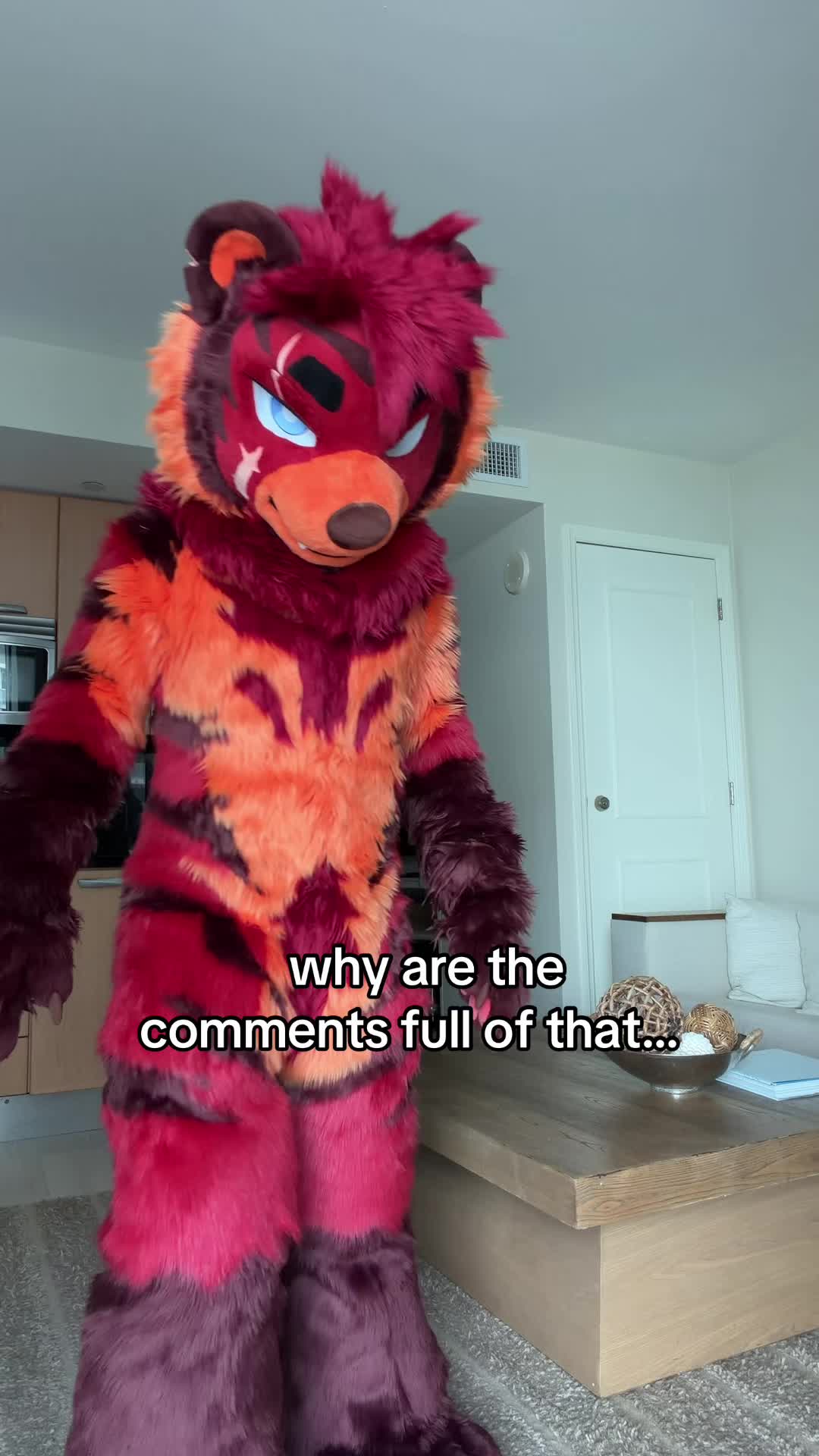@UrsoFax