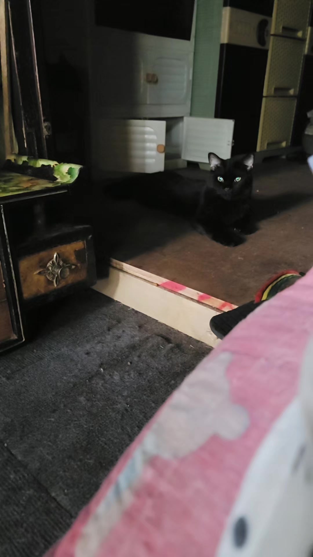 @CrazyCatMe
