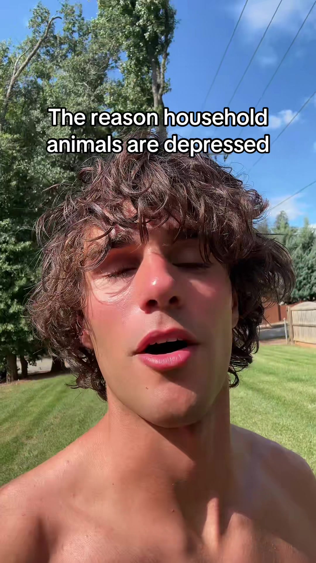 @klops