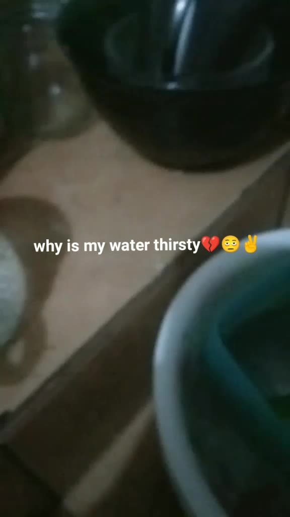 @idk