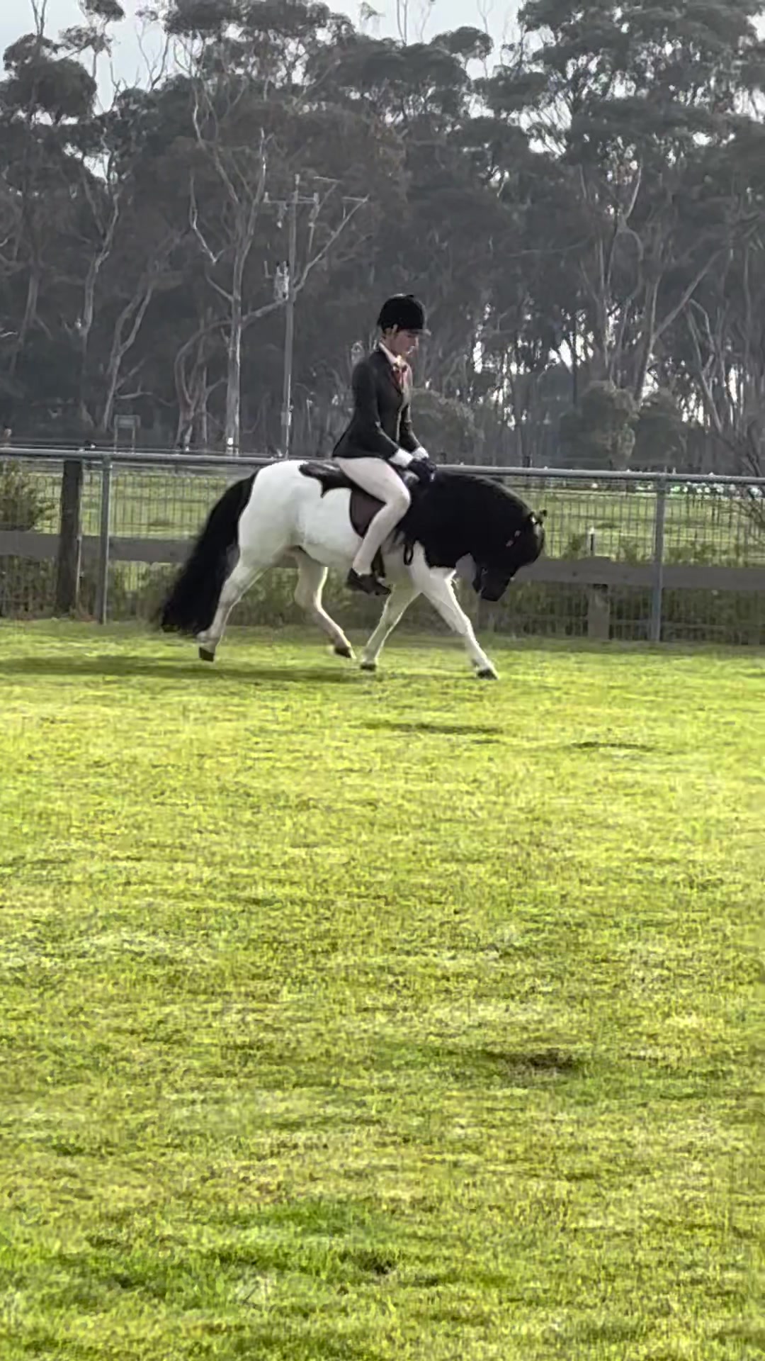 @🖤 Savs ponies🤍