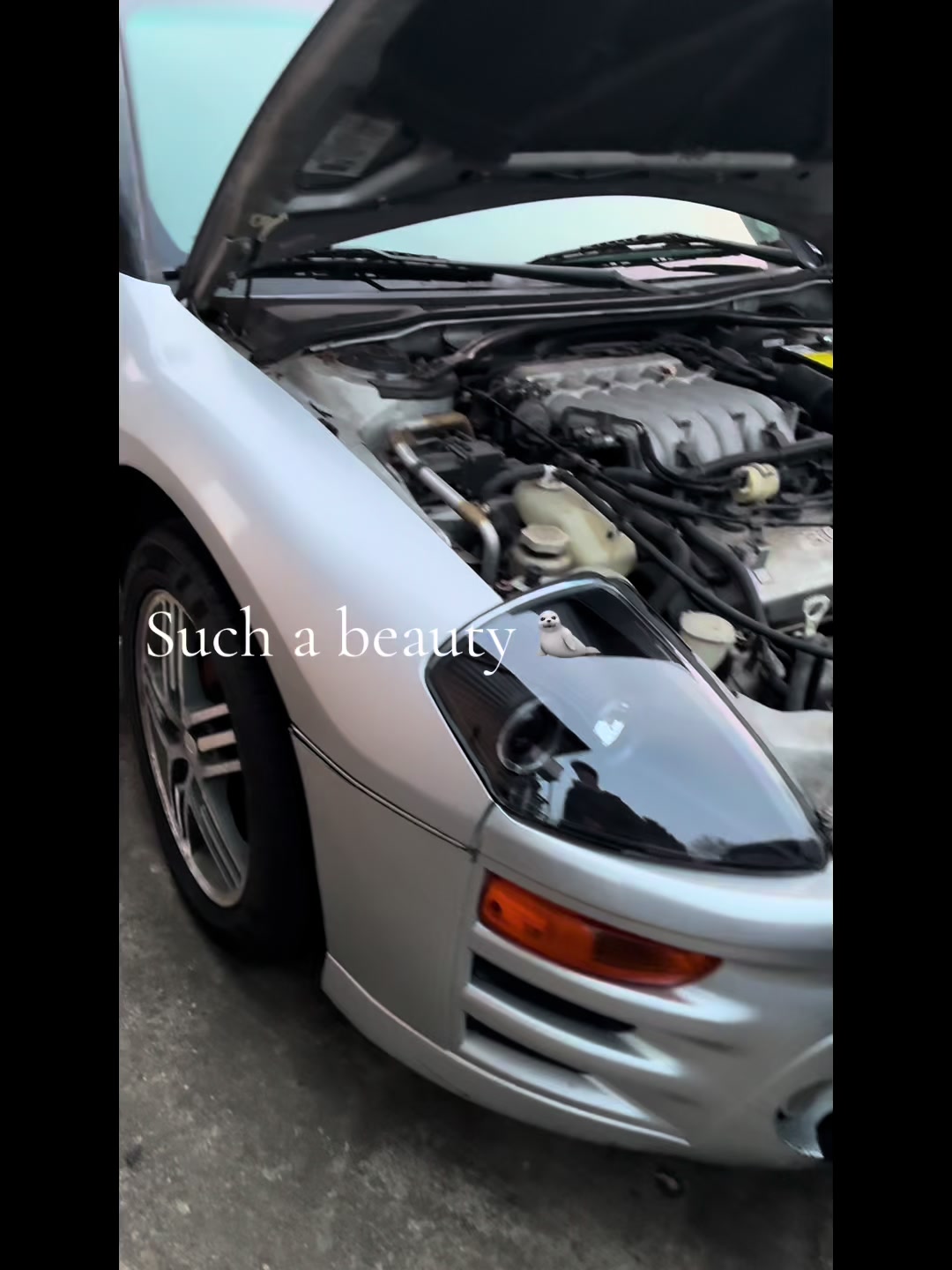 @brayan.317VR