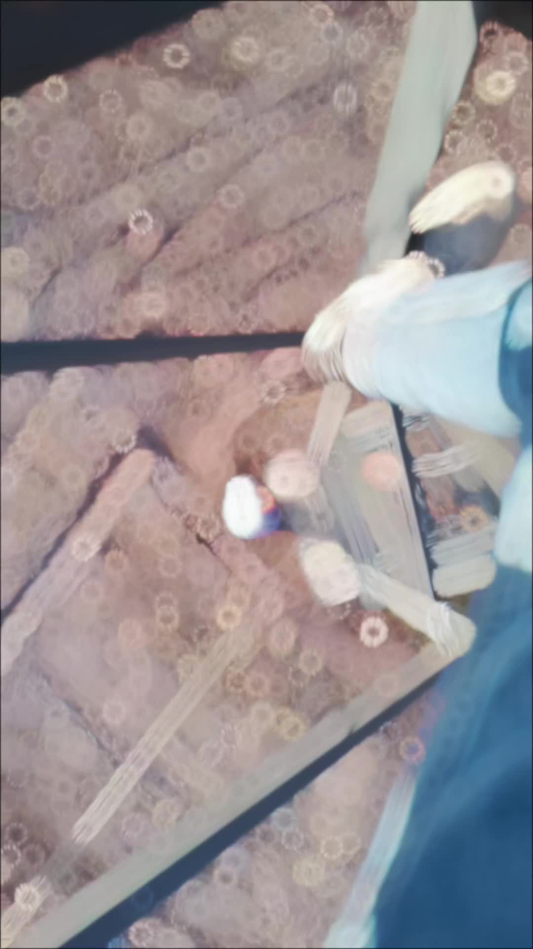 @🇹🇷