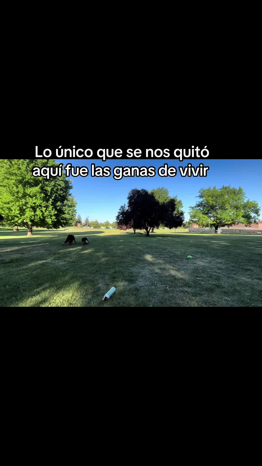 @Ines VB