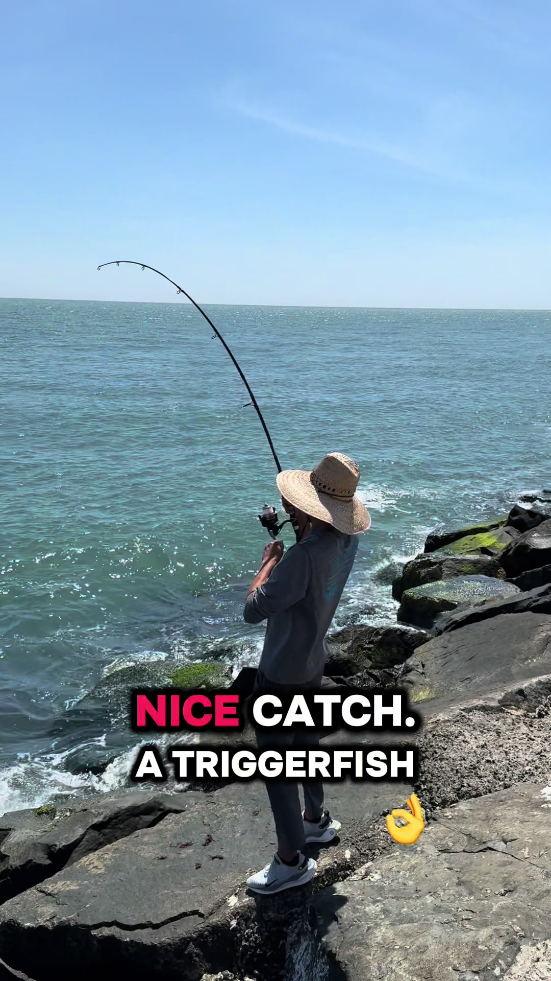 @One stop bait & tackle
