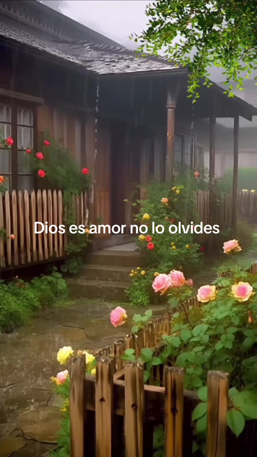 @@Debora_carbajal