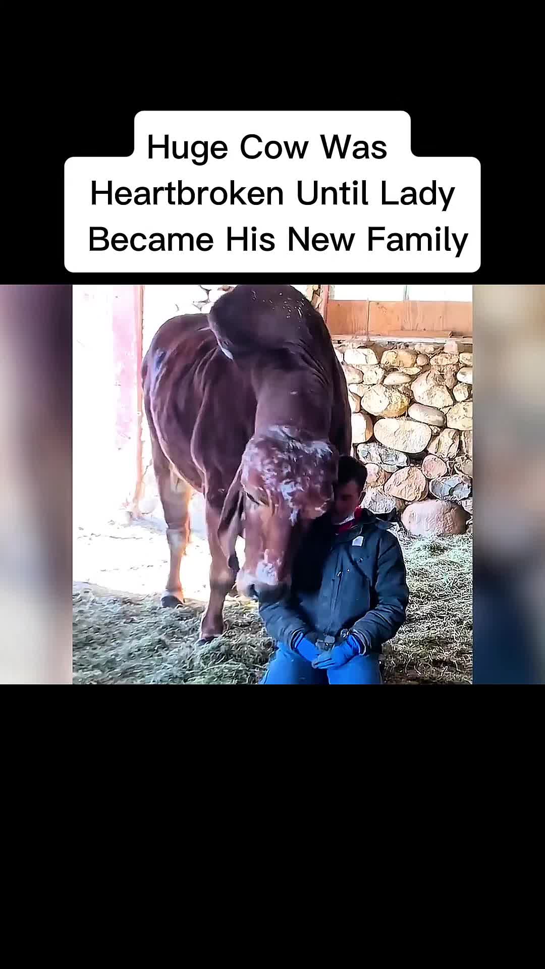 @cddle_buddies_channel
