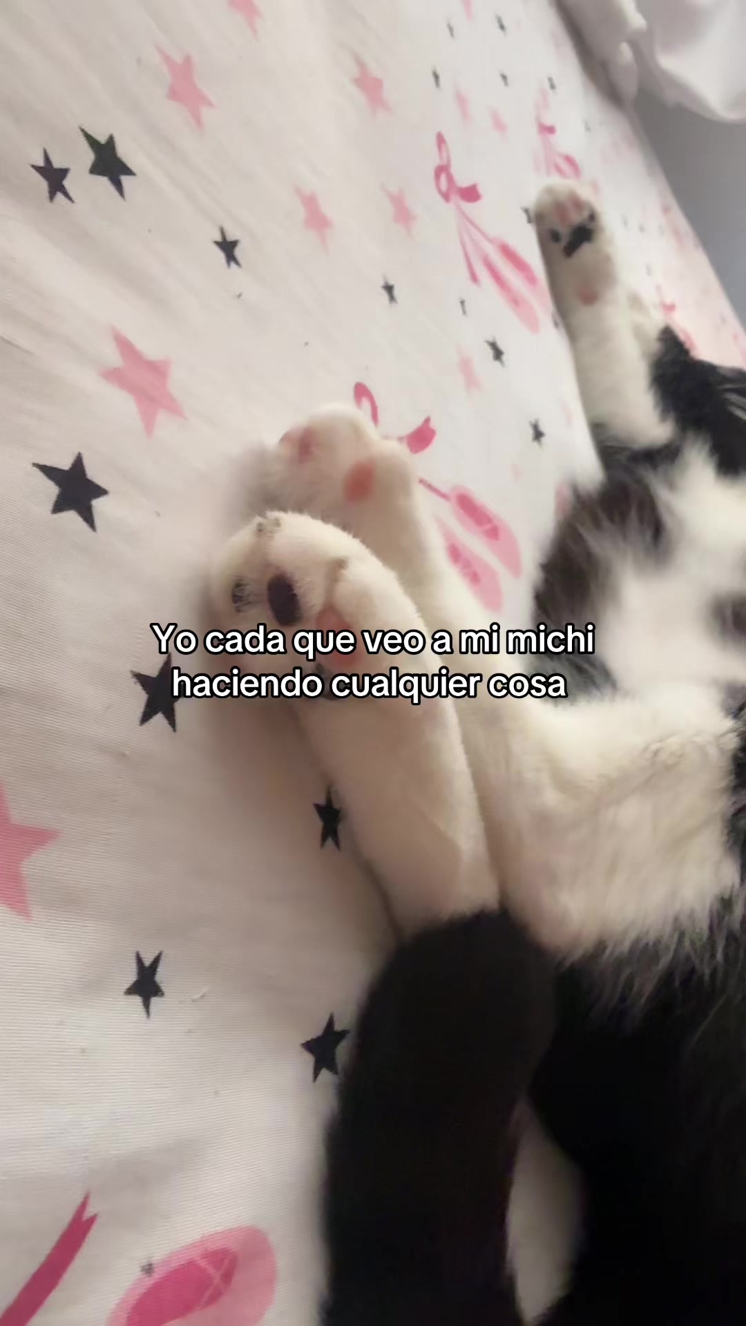 @Valentina Moncada