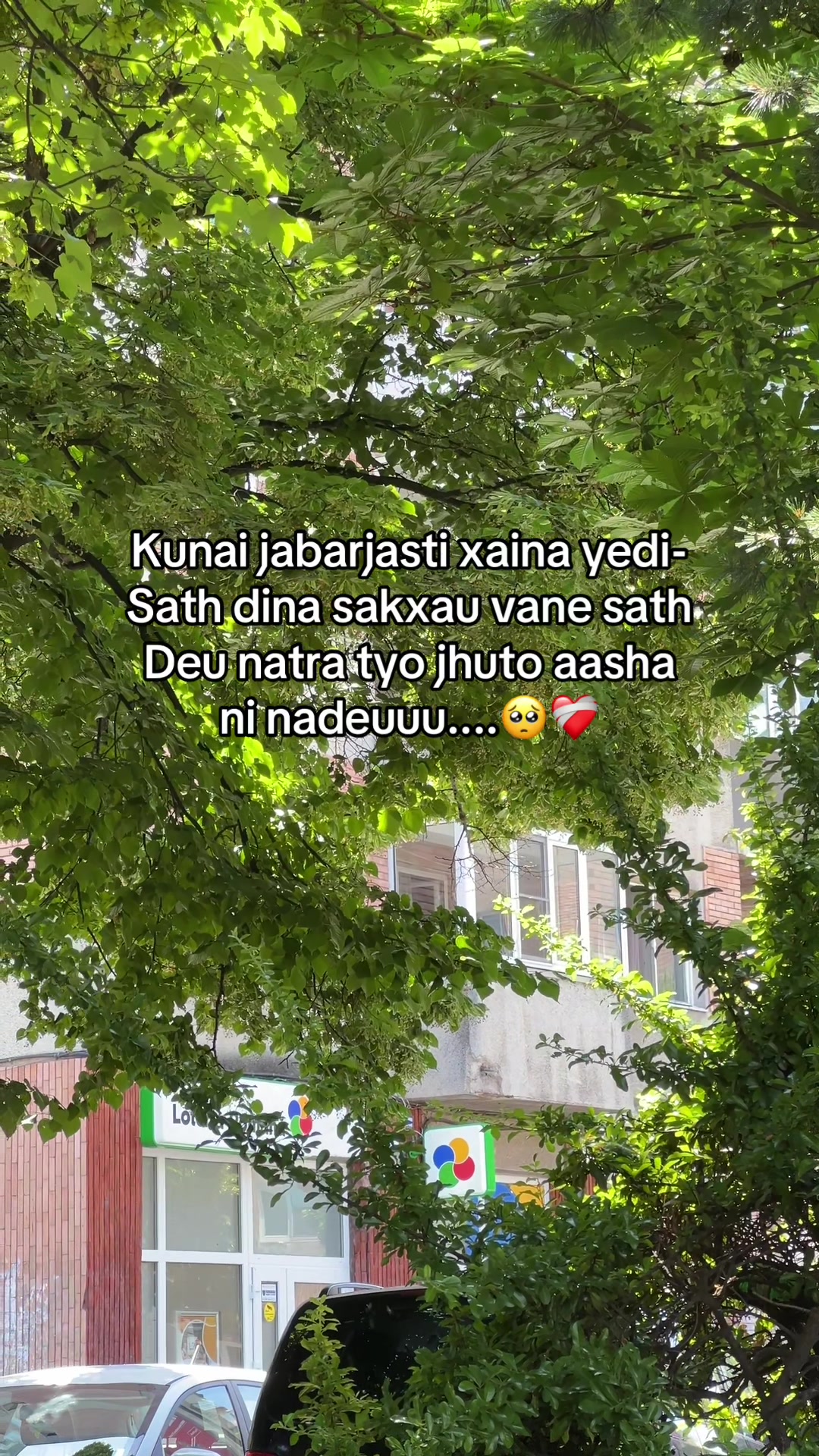 @aryan RiJaL 🫧