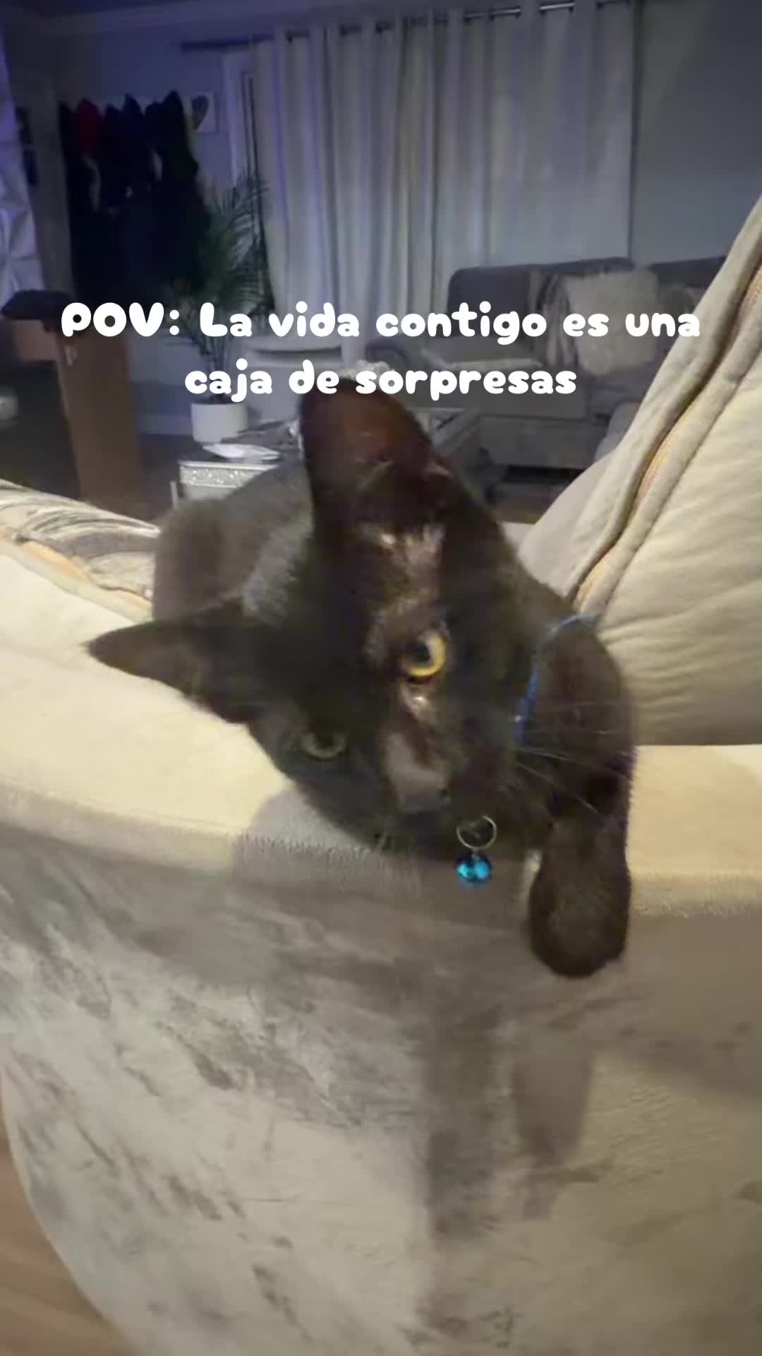 @KarenLovers💕🎀