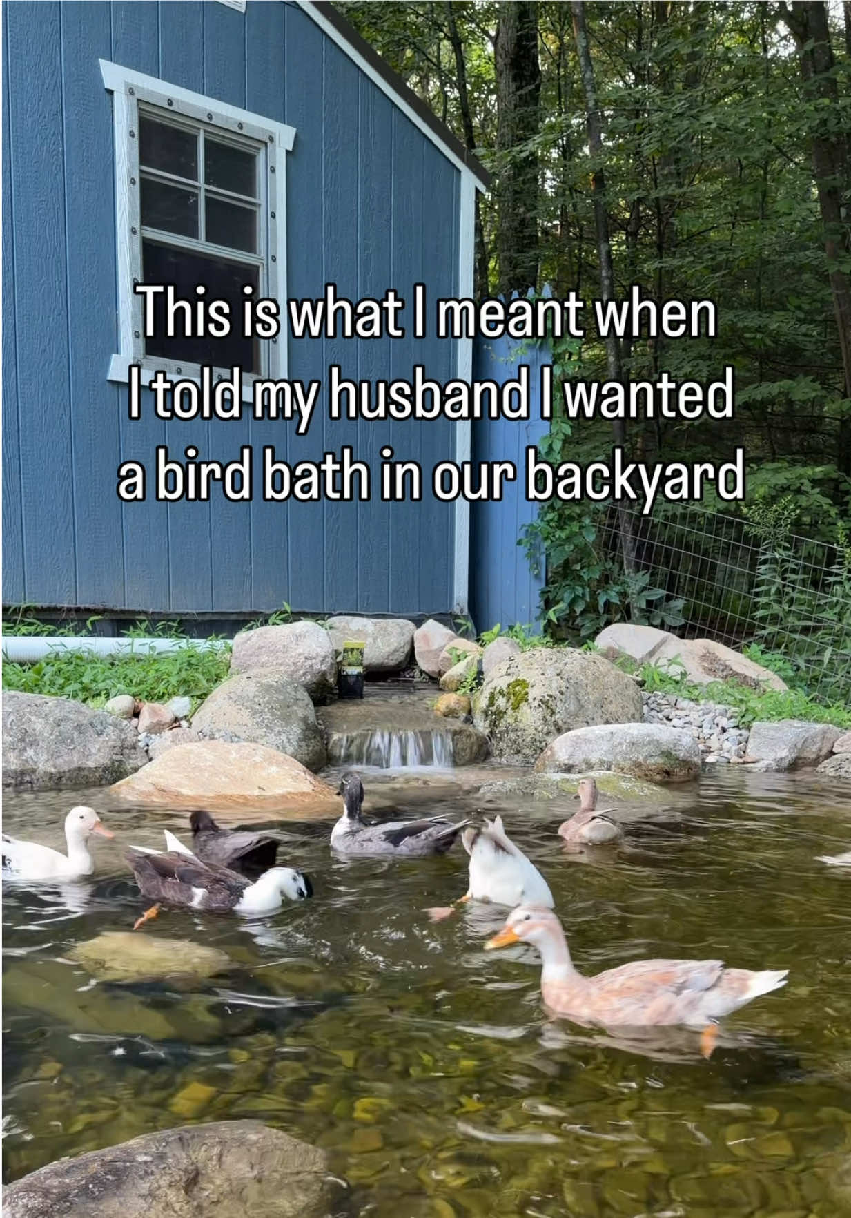 @The Quack House
