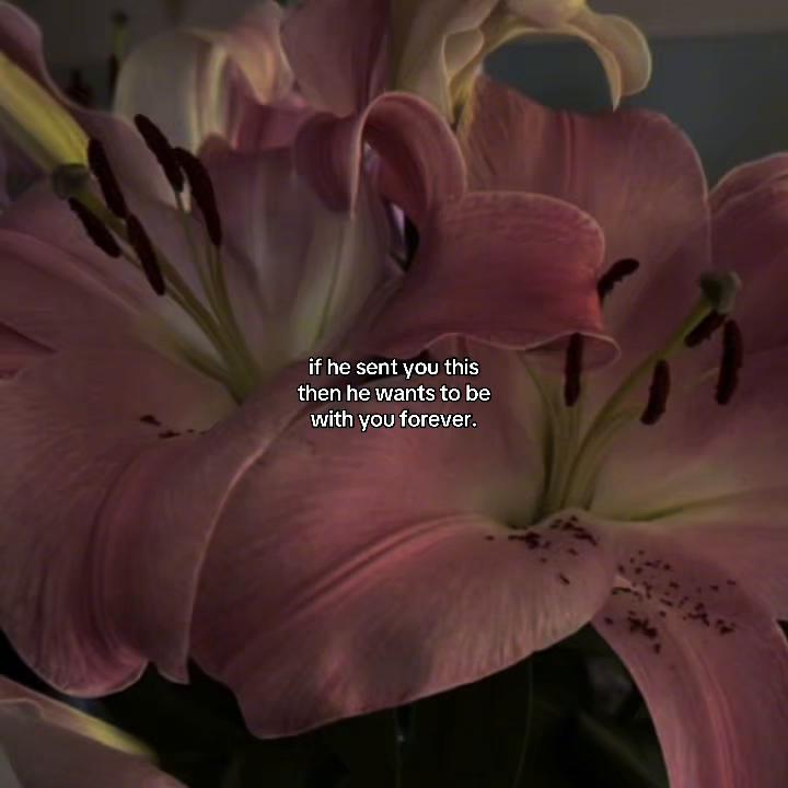 @luvbump