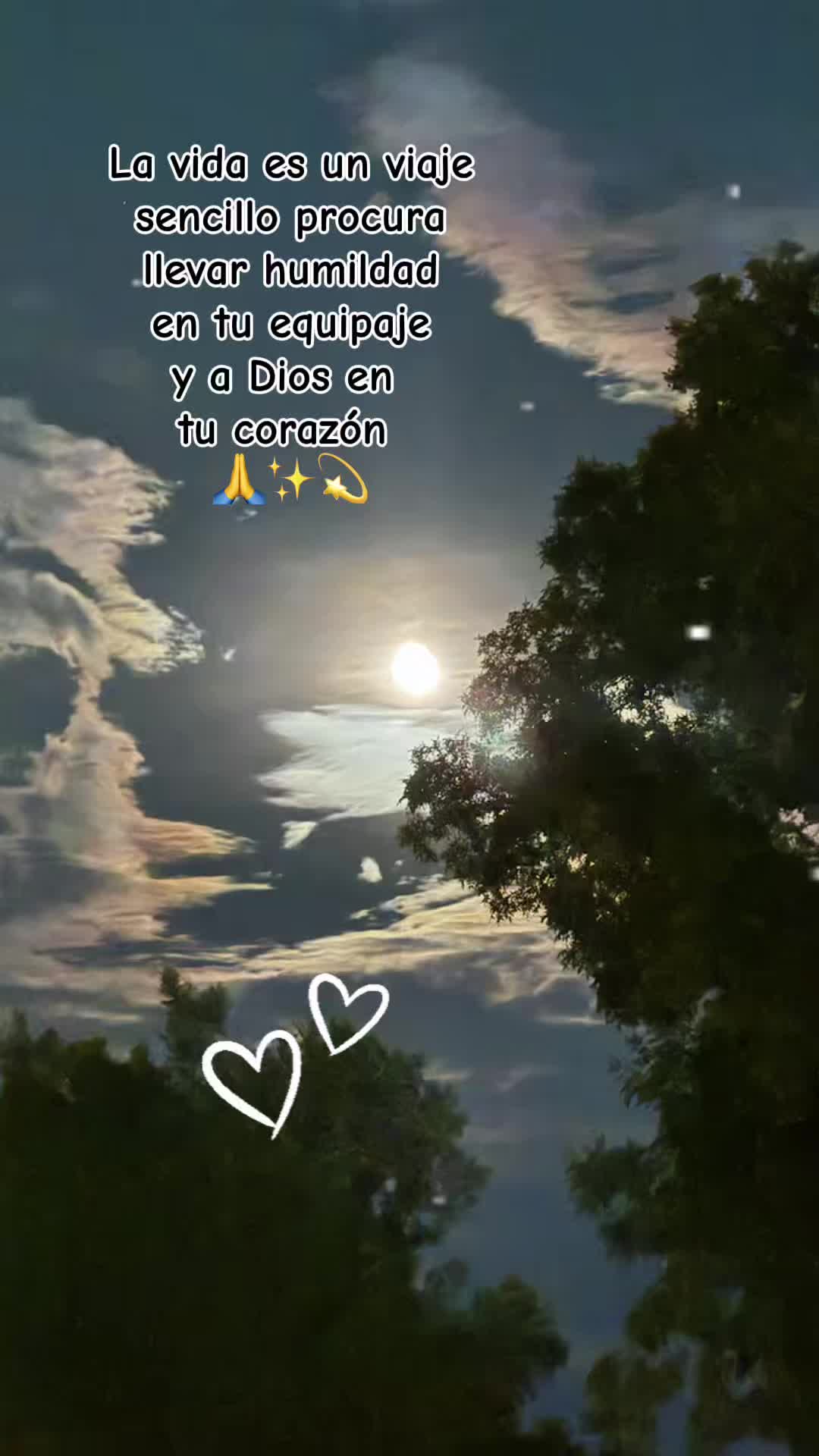 @Jacobo velasquez