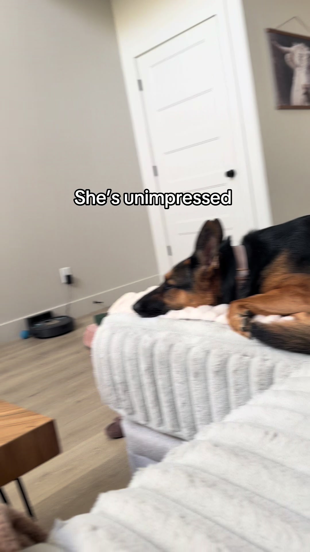 @Rory The Not-Working GSD