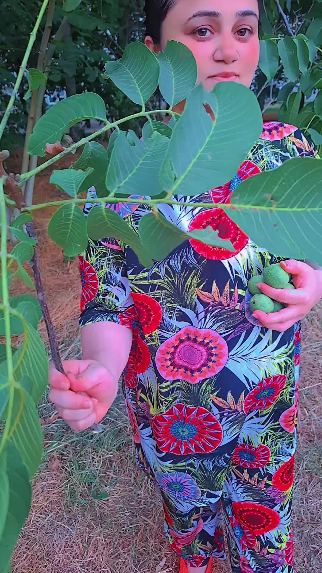 @🤍🤍🤍✅️