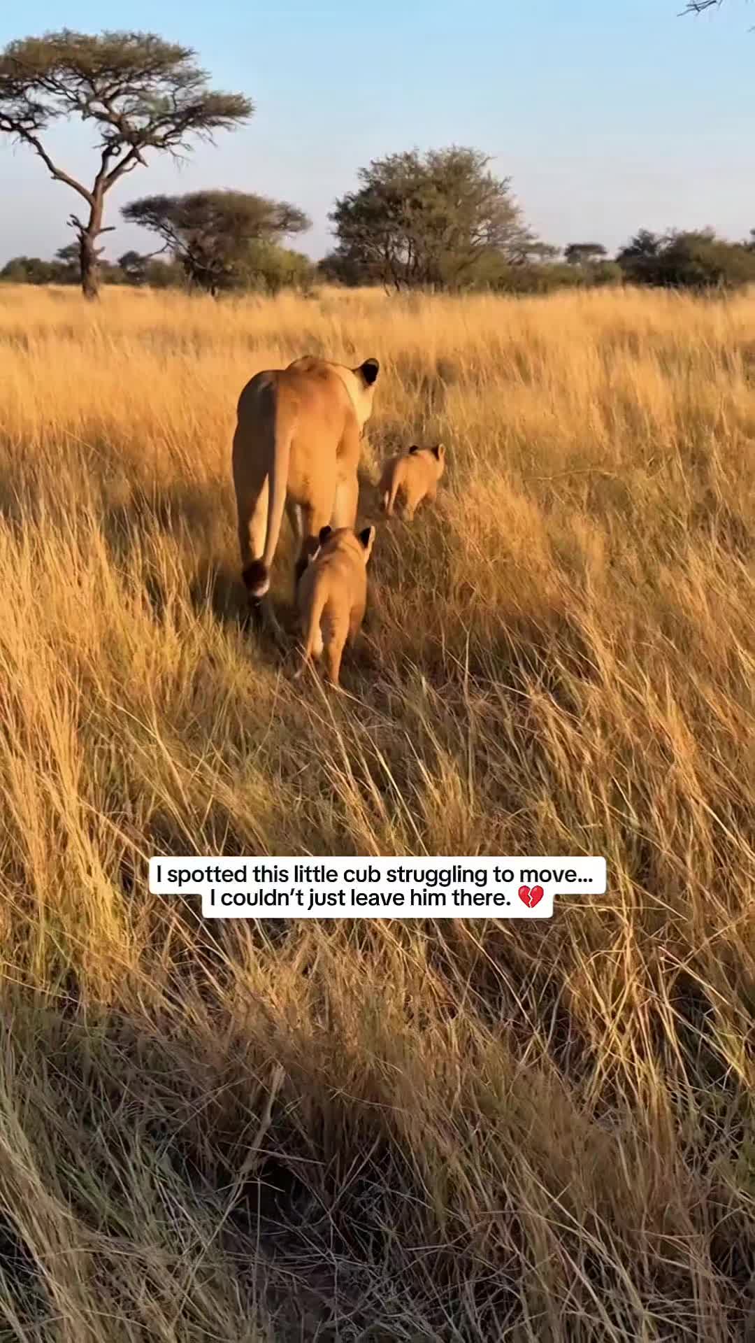 @WildwonderzZzz