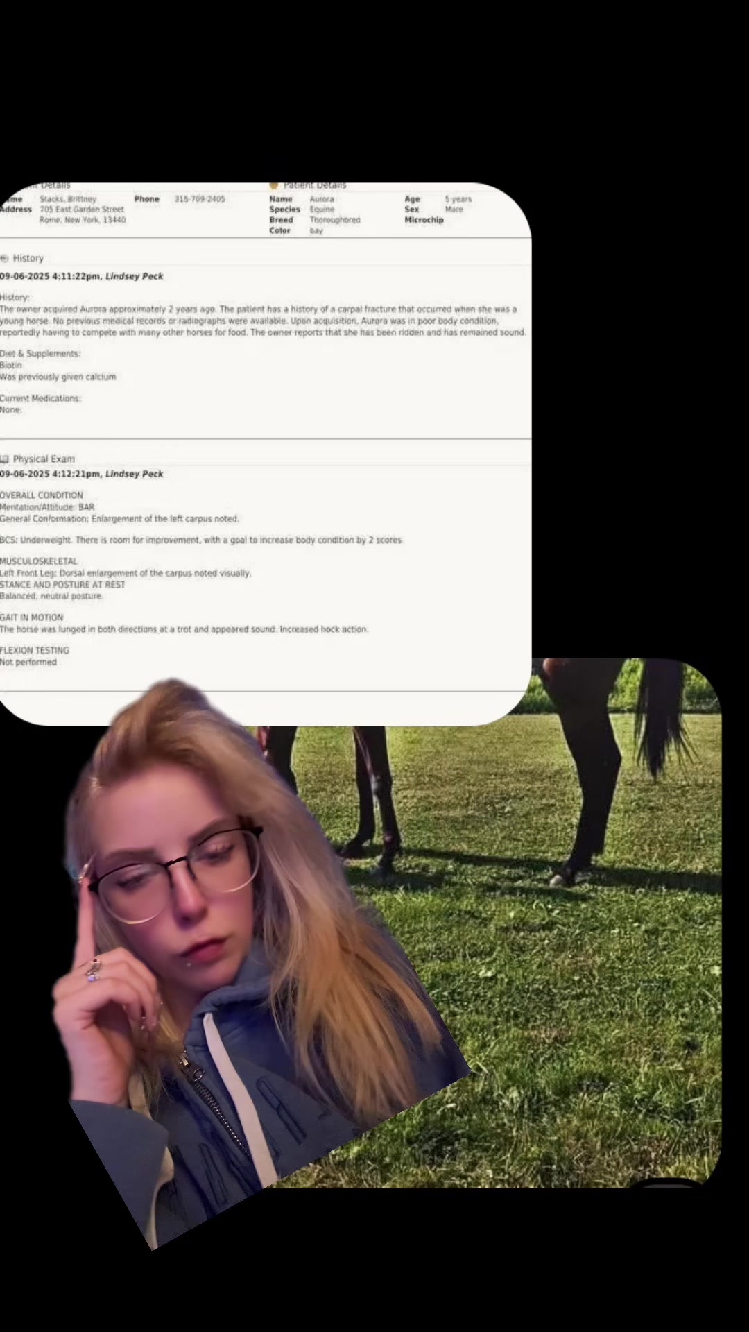 @wereareyoualice