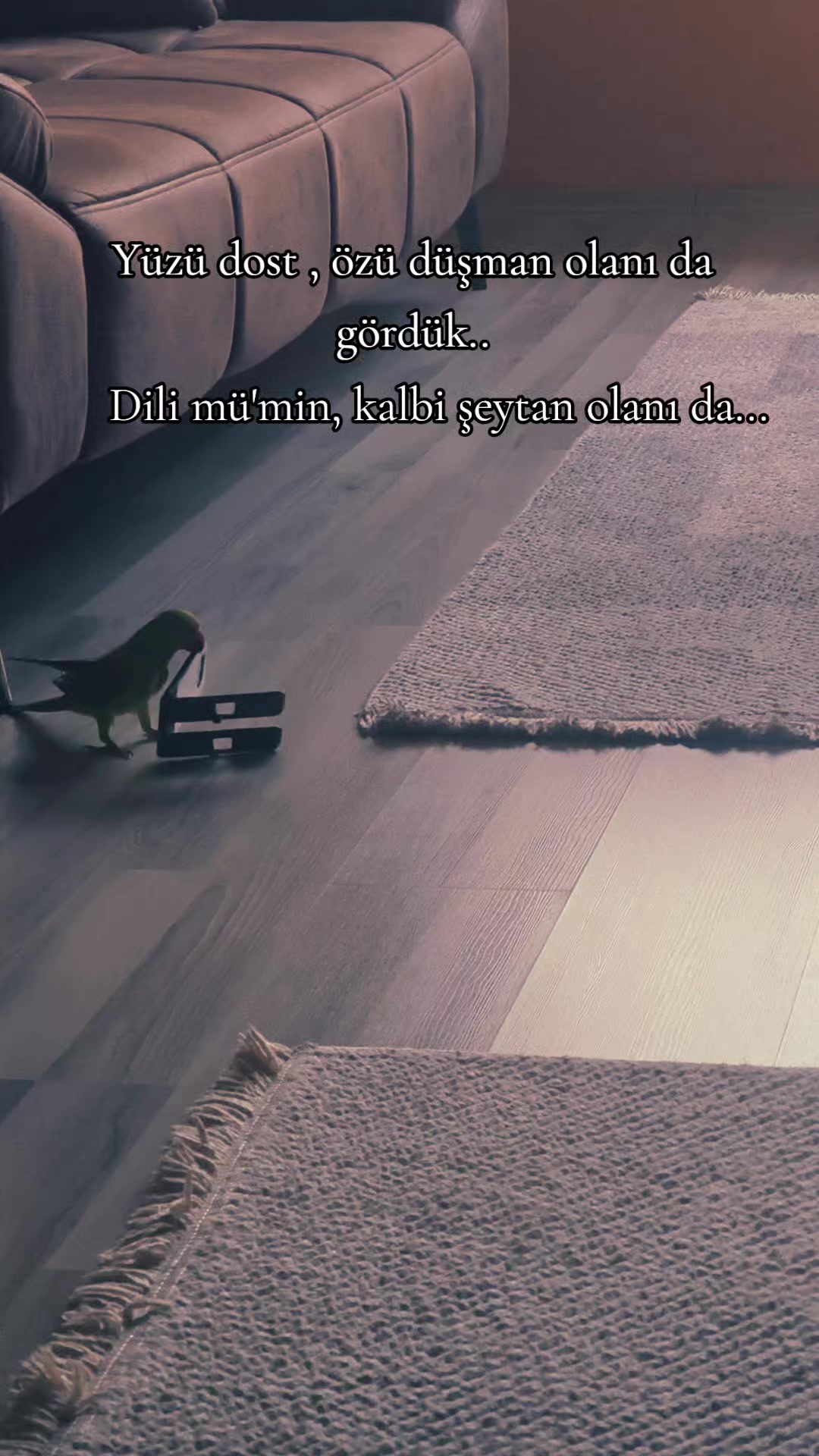@ミ★ NeÇE🍁 ZOZAN ★彡