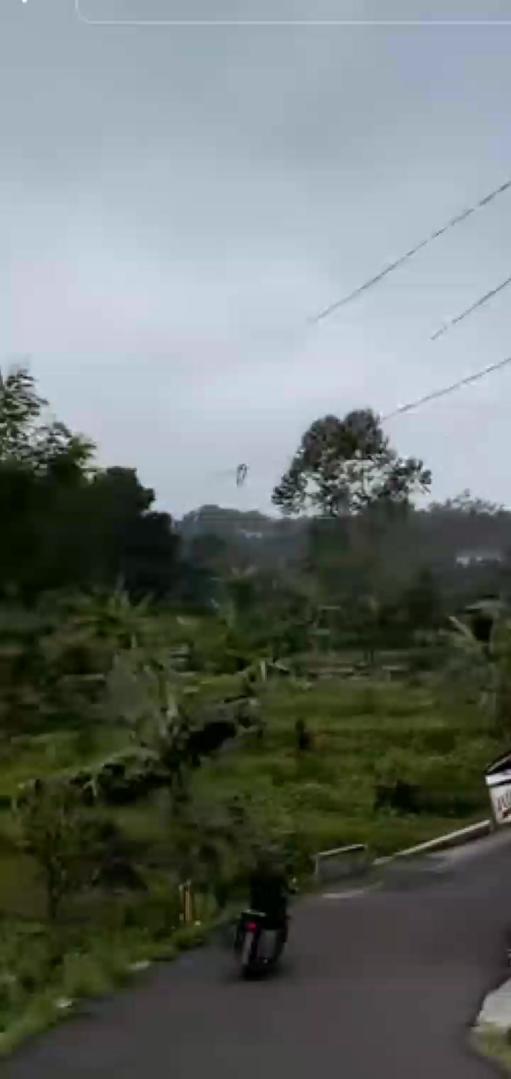 @🇲🇨* FIRMAN *BOGOR* 81