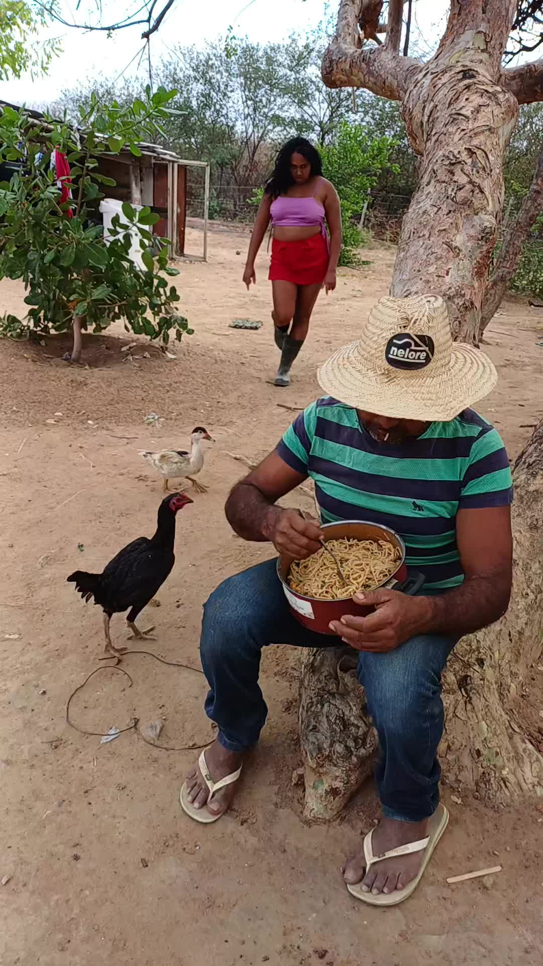 @família animada