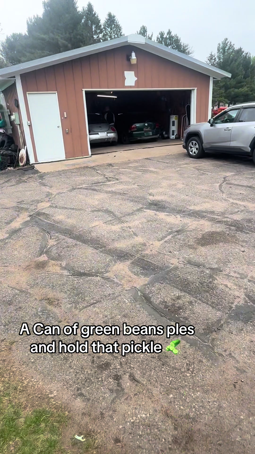 @That tdi bug