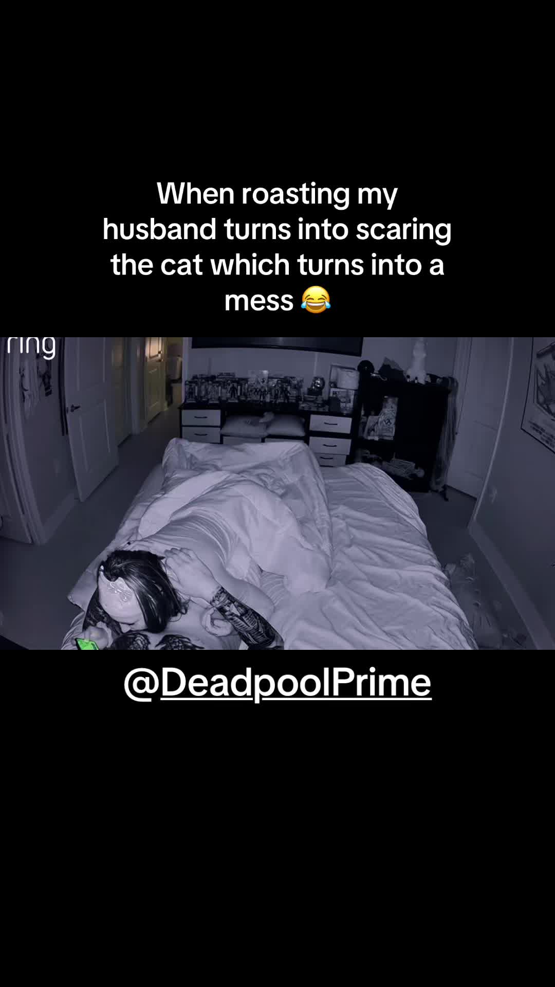 @mrs.meowwmixx