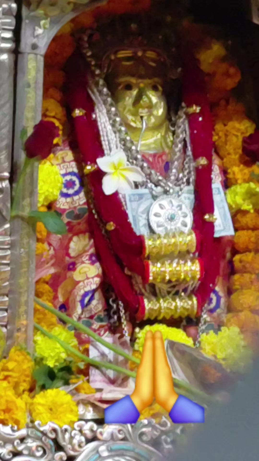 @Renu Raut Lama