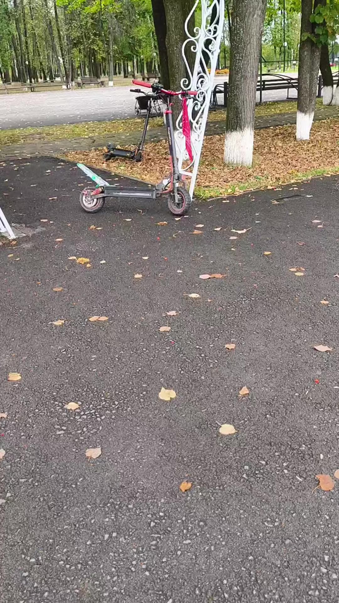 @snkk