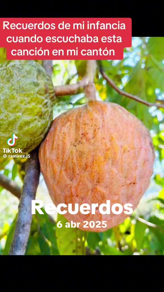 @Jose cisneros737