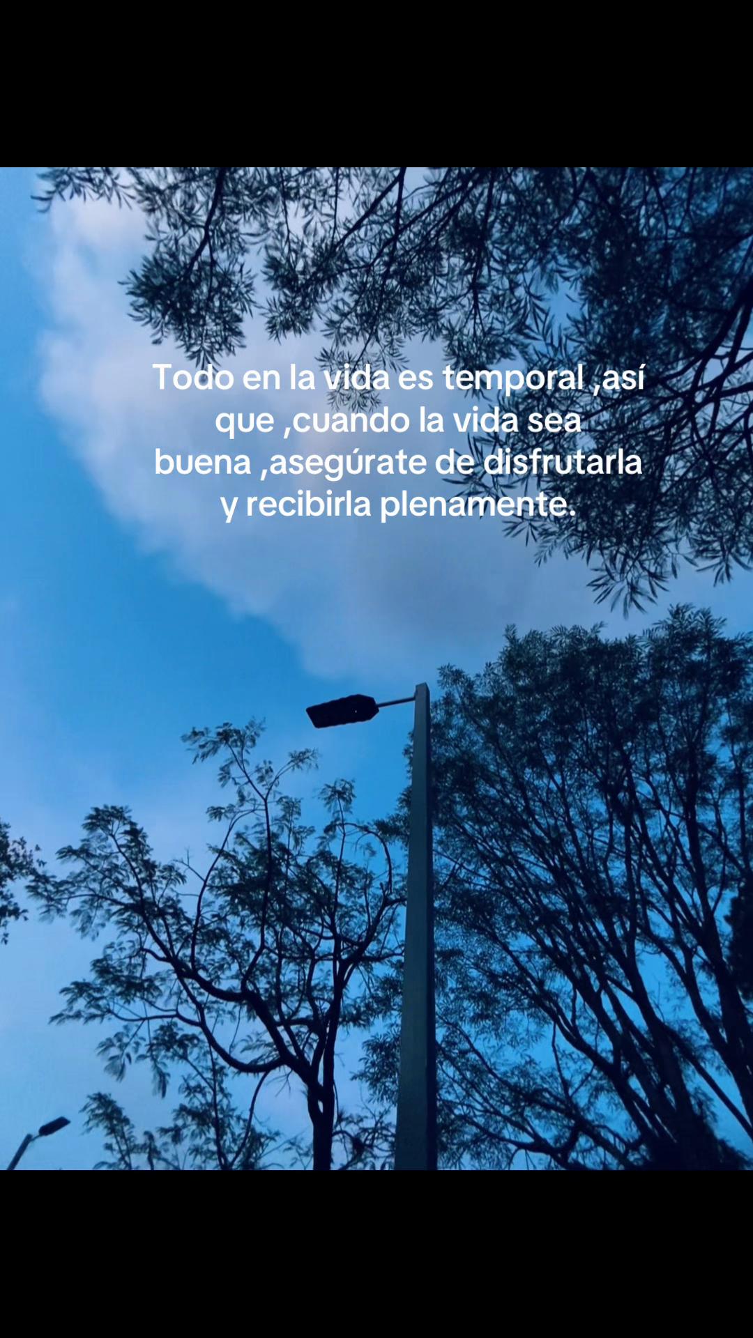 @𝑳𝒊𝒔𝒃𝒆𝒕𝒉 🦢🪞