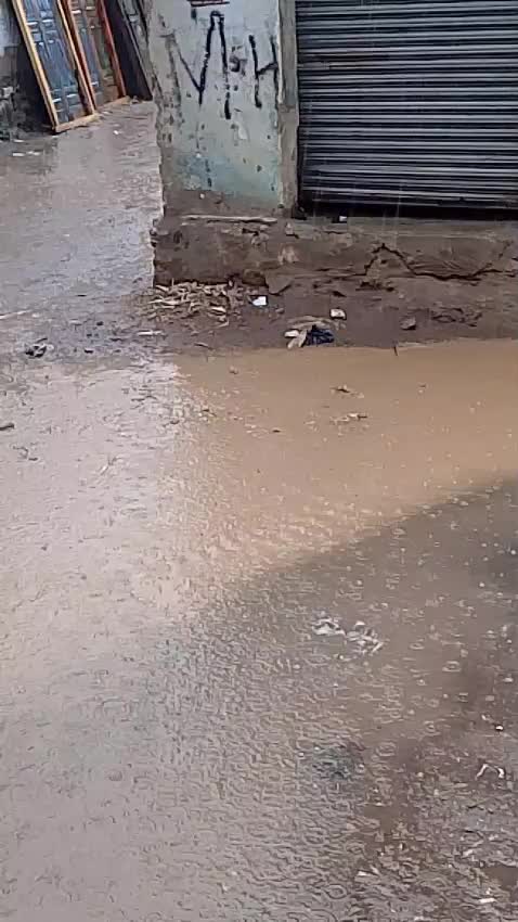 @barkatkhan5972