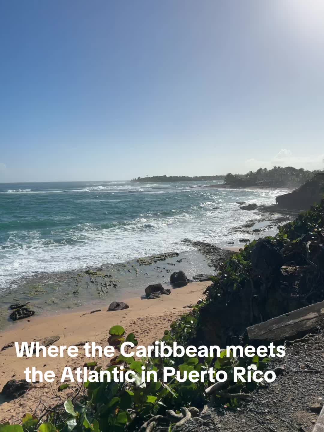 @Kate Eesimo 🇨🇦🍁