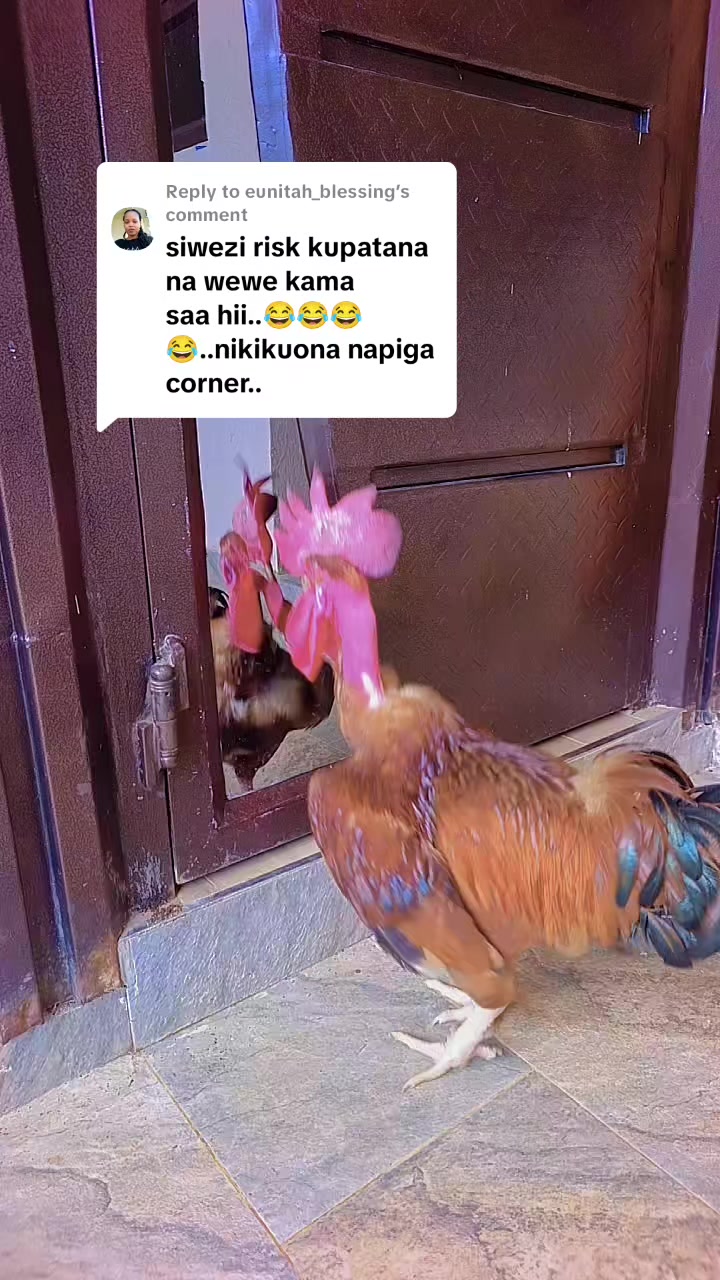 @𝗡𝗮𝗻𝗰𝘆𝗕𝗲𝗶𝗯𝗲𝘆