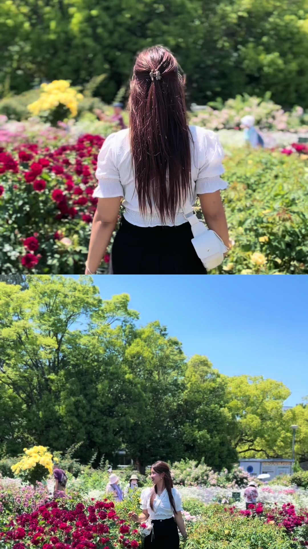@SUBA TRAW🎀🕊️