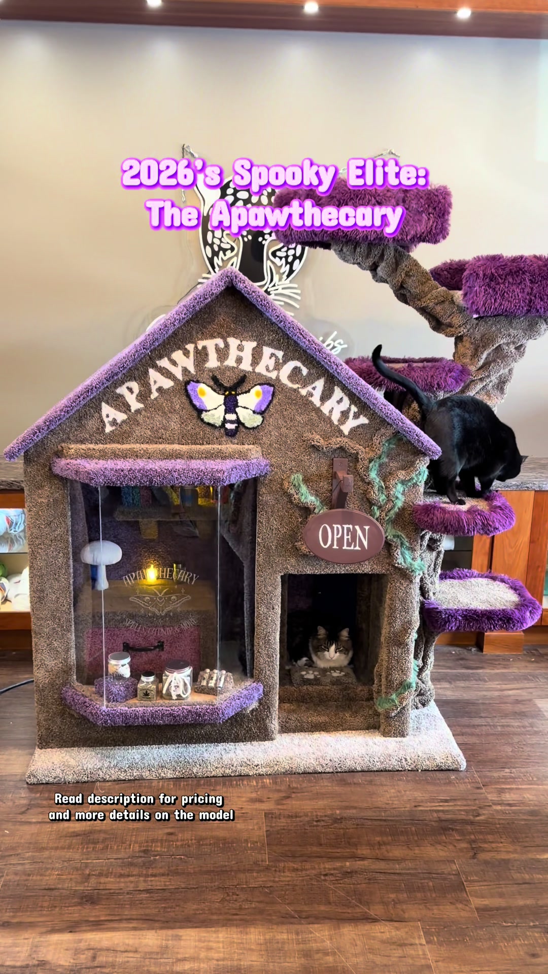 @customcatcribs