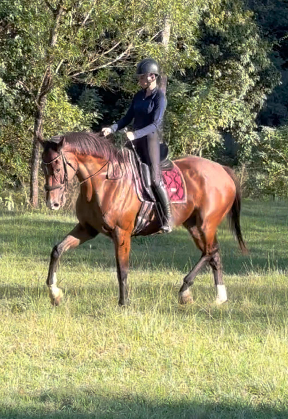 @Double F Performance Horses