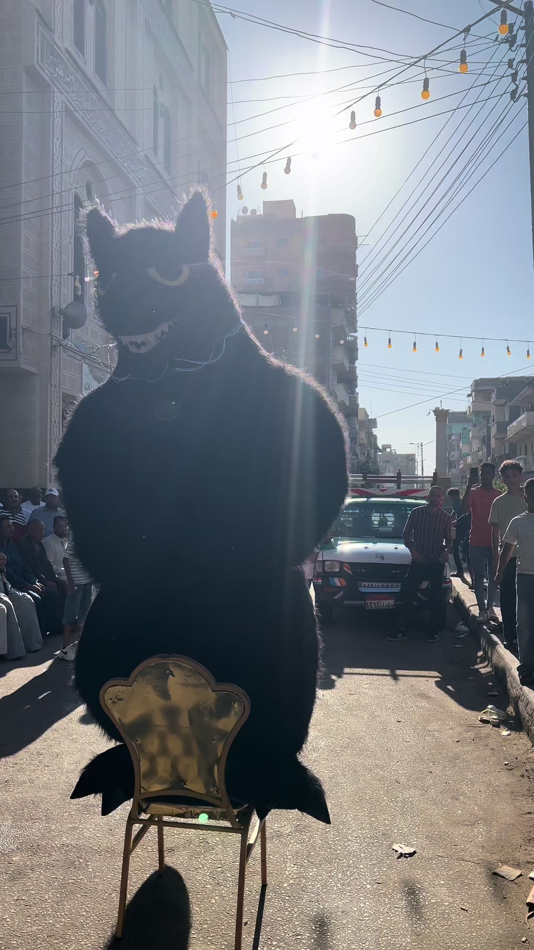 @بودا بتاع غوريلا🦍🔥