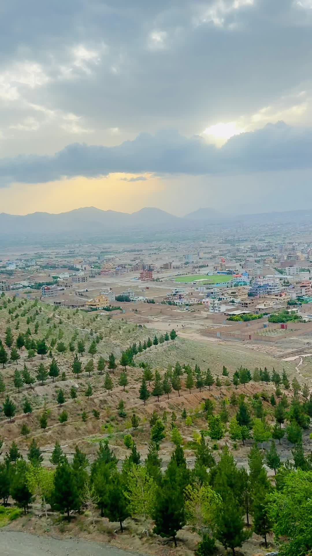 @hamdardraza