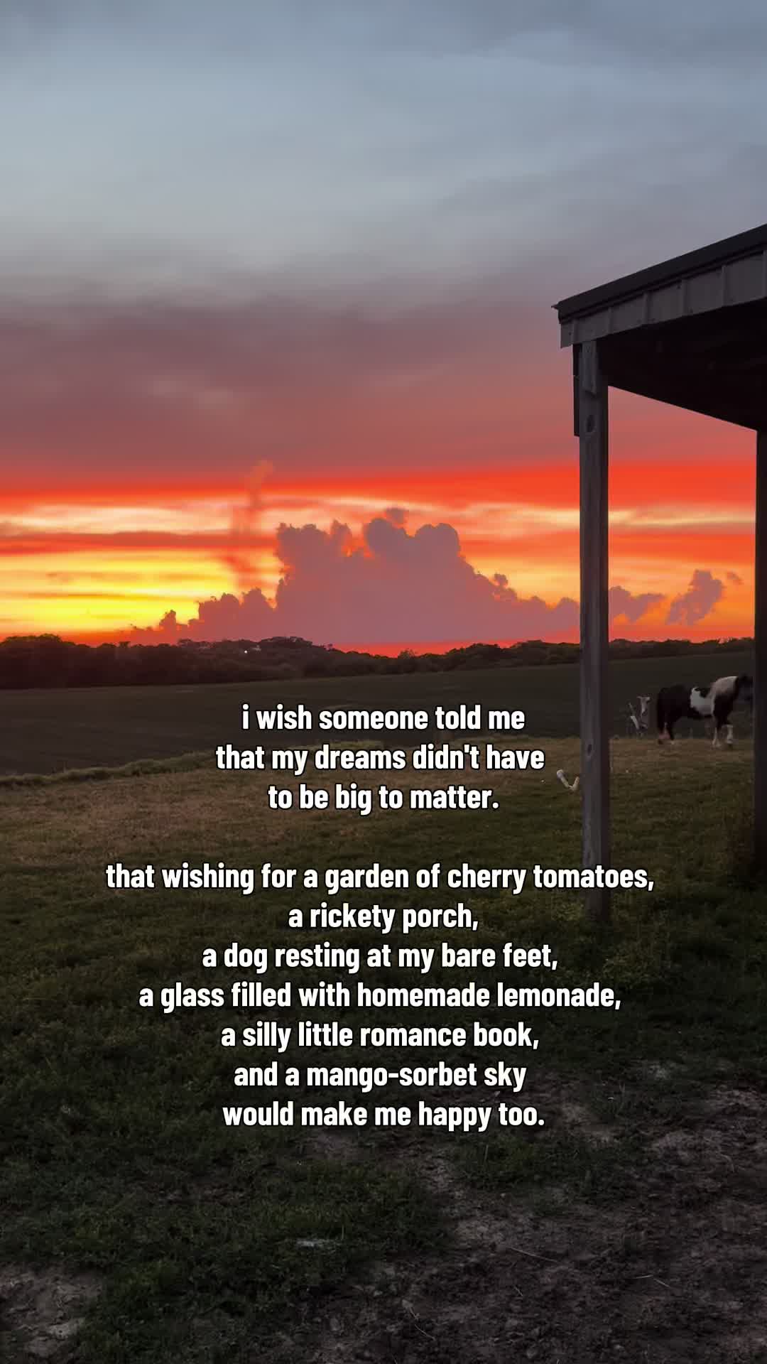 @Sierra ๐ด๐๐ป| Homesteading