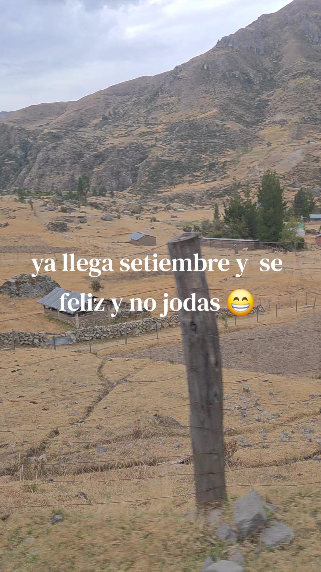 @sol 💜🫶