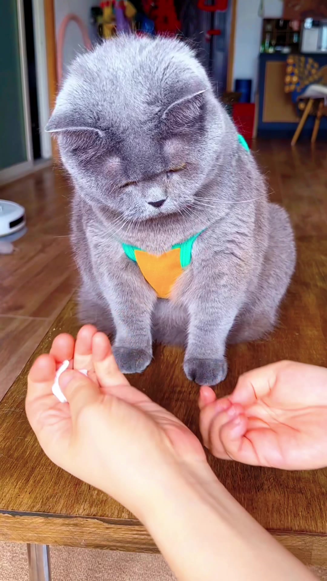 @yooyoomiao