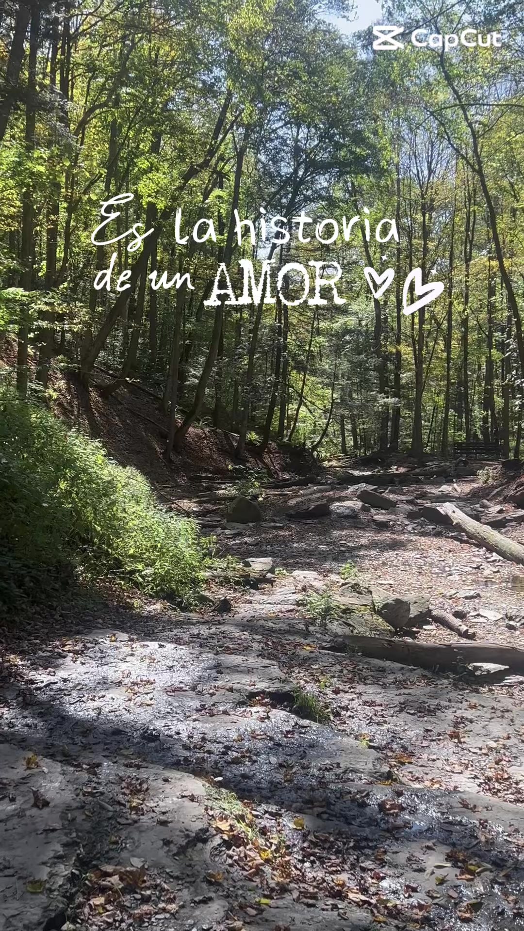 @luzgmn