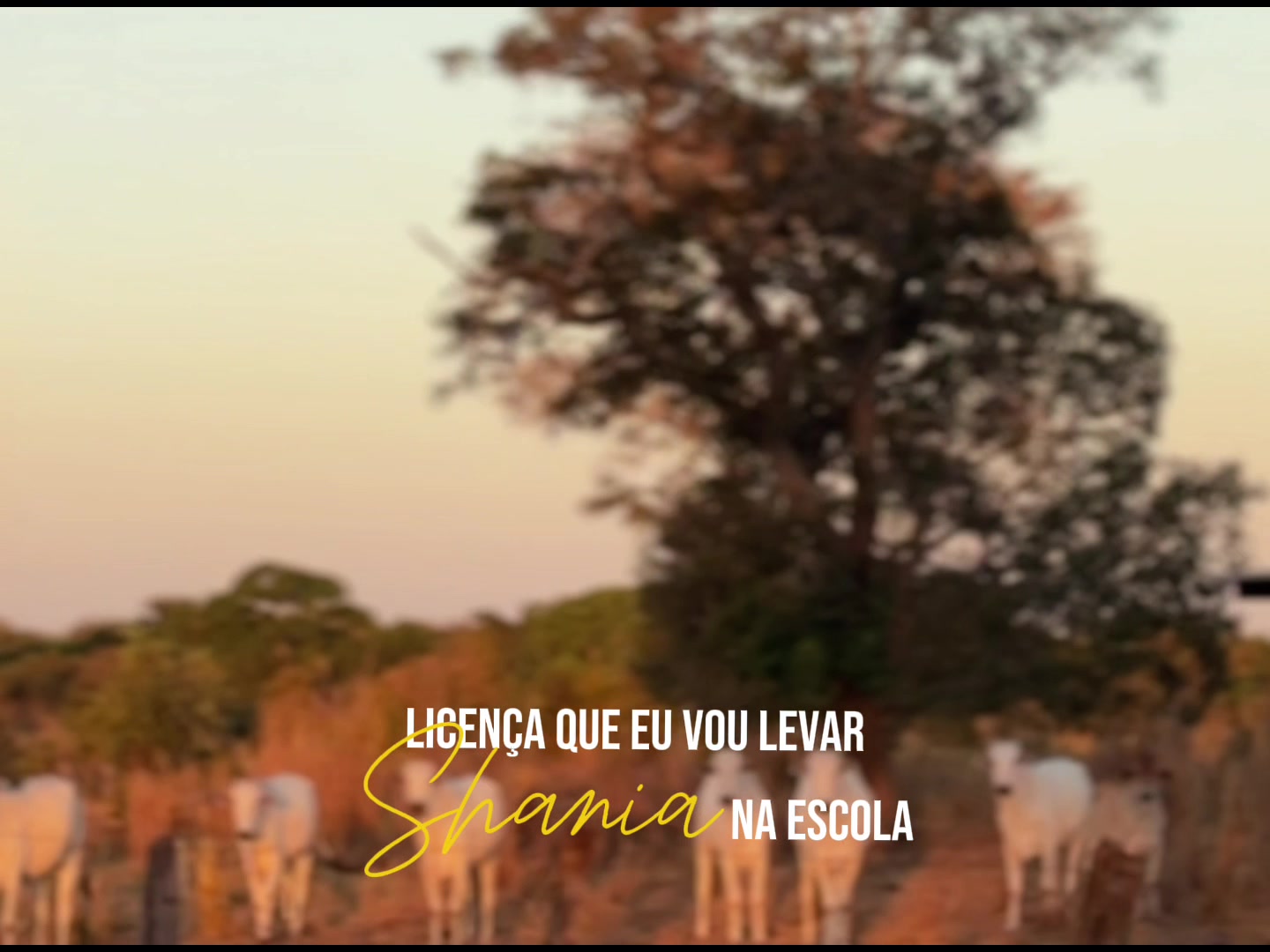 @Jordana Cardoso
