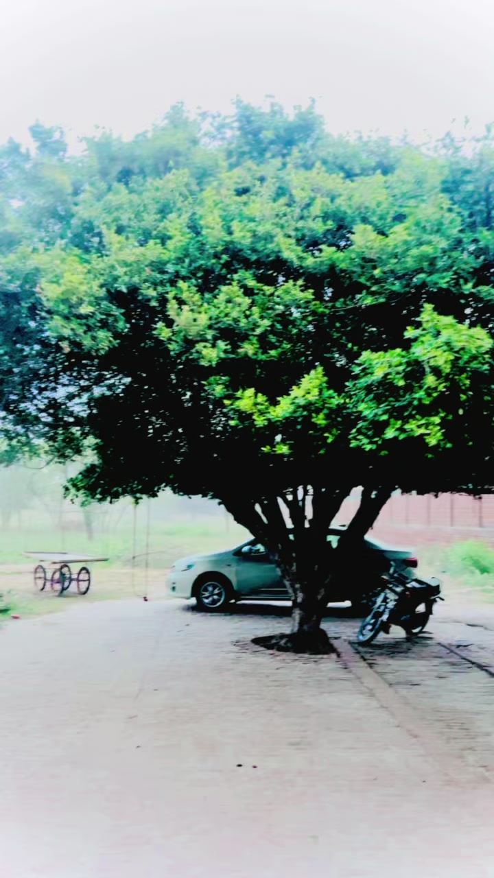 @M. Farooq Khokhar
