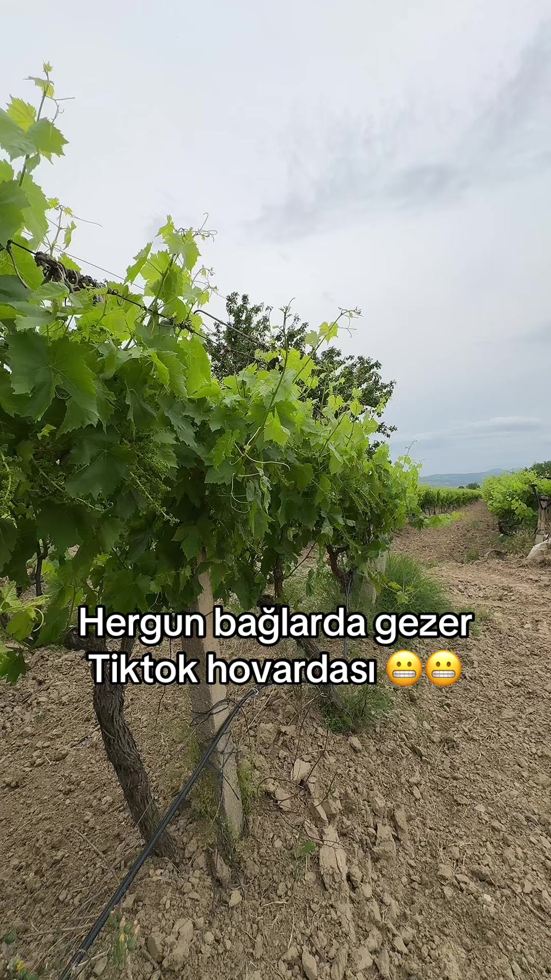 @G&uuml;lnur Kırmızı