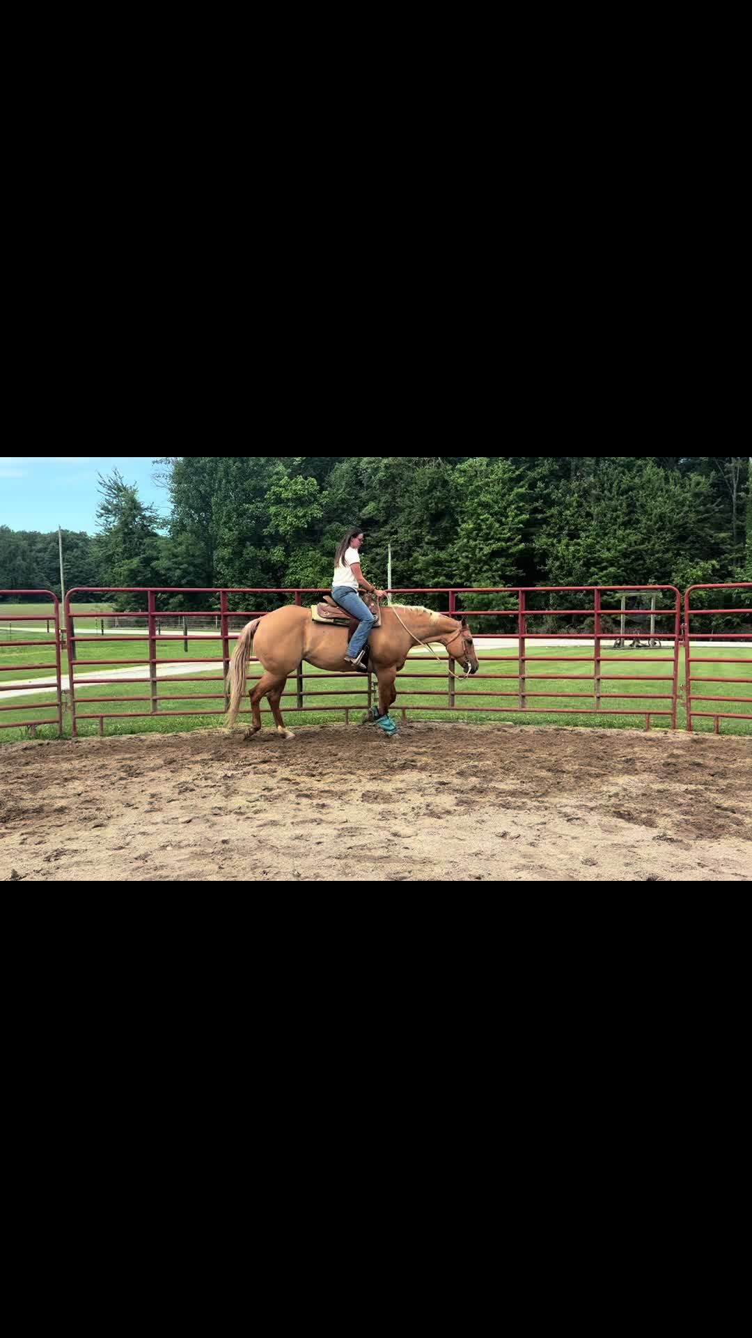 @Megan Manlief