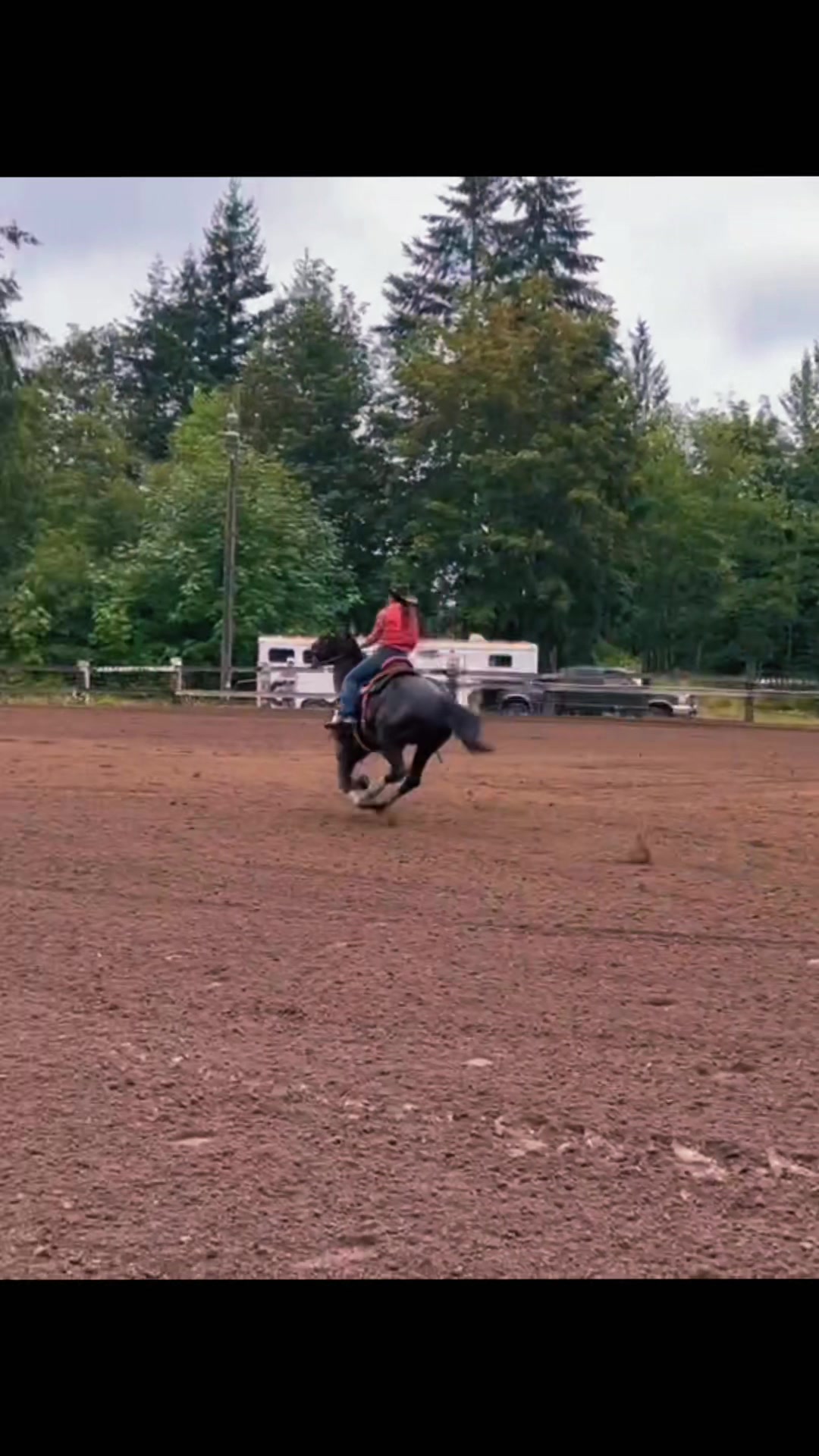 @TF Performance Horses