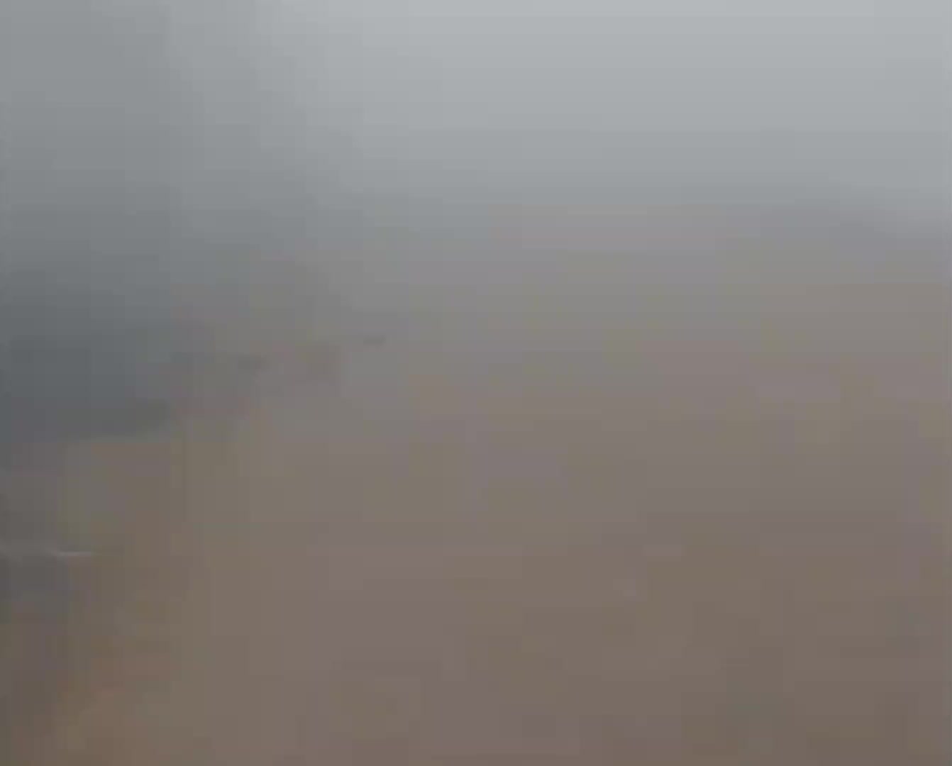 @سیان صاحب ☠️🍷