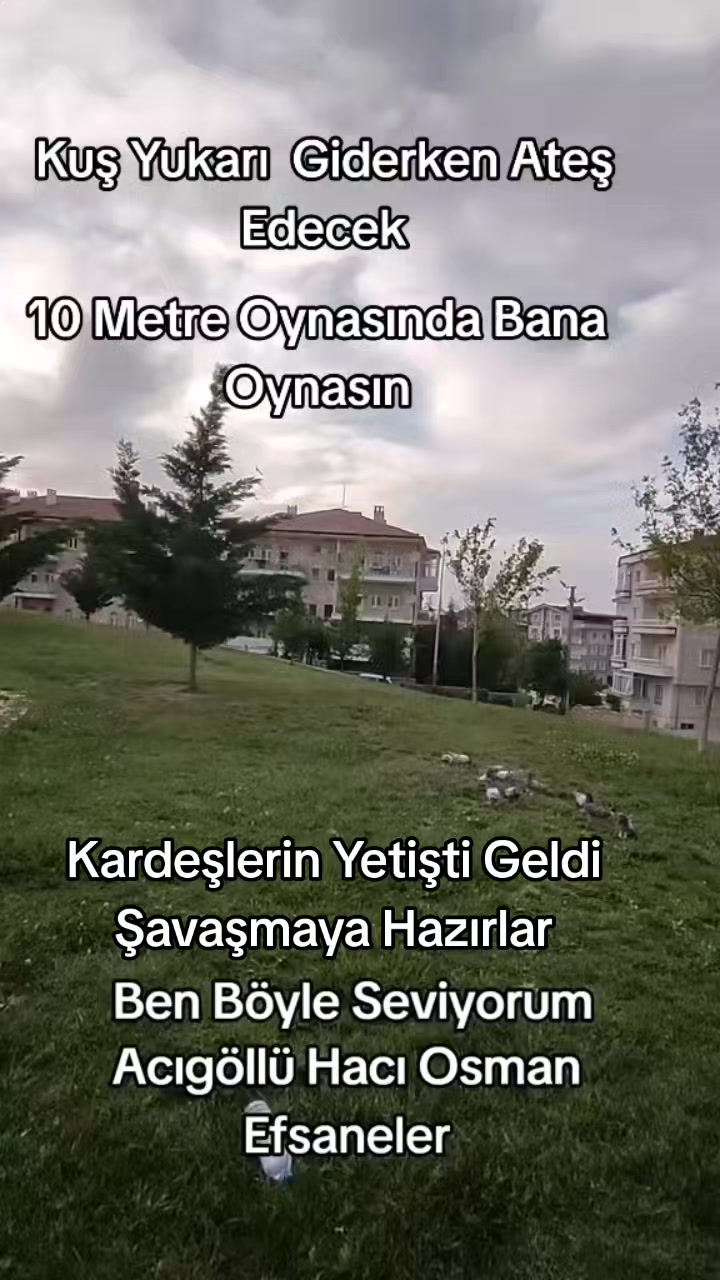 @Hacı Osman Tanrıkulu