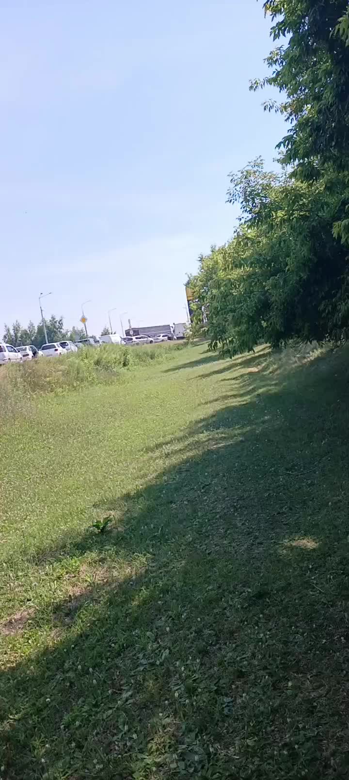 @СЕРГЕЕВНА